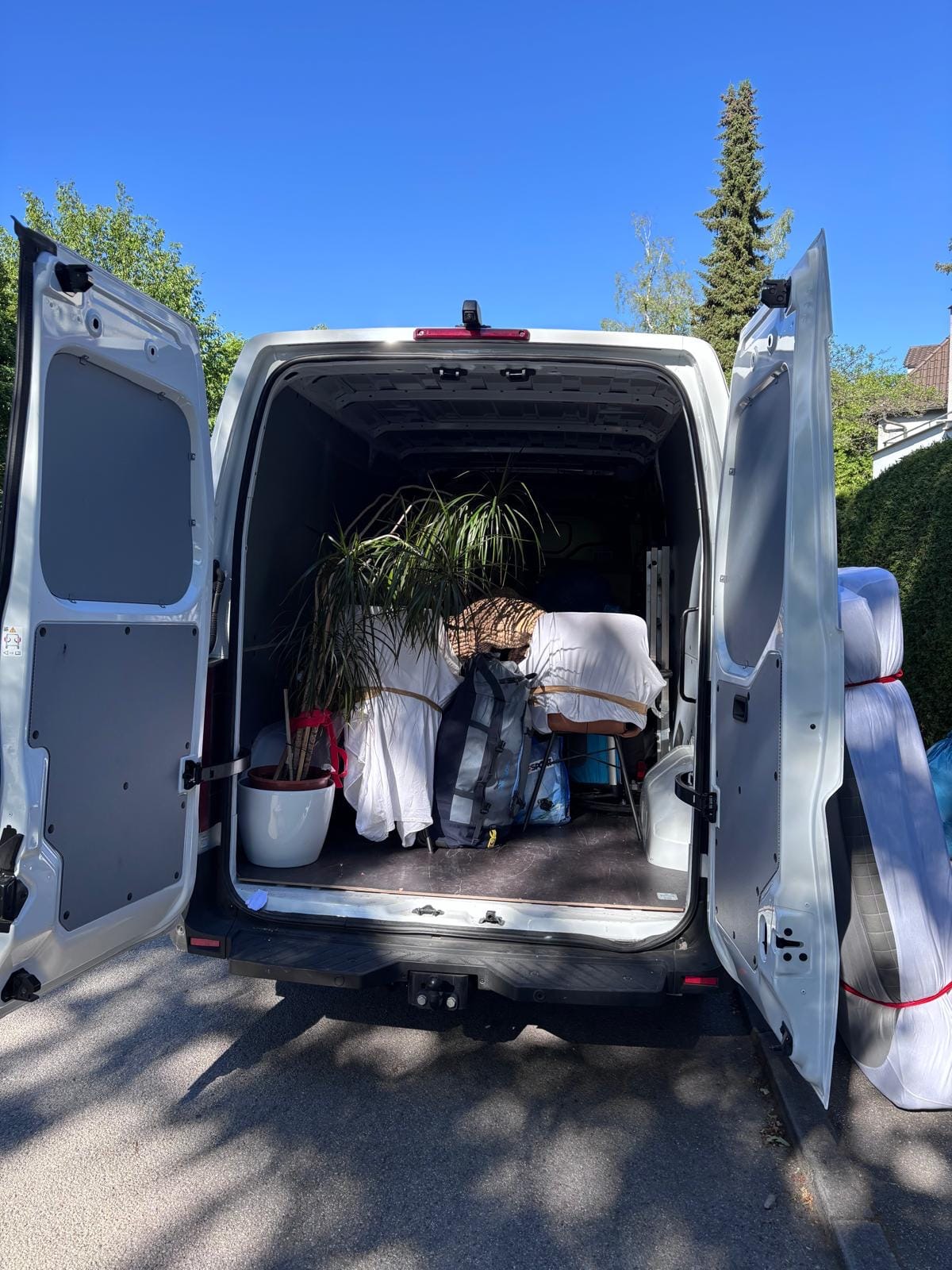 Beladener Sprinter mit Möbeln und Pflanze